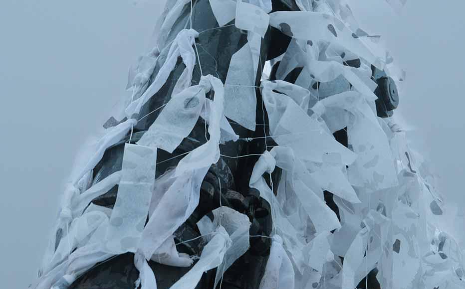 In winter camouflage is arduous: with no leaves on the trees any colour changes are instantly noticeable in the all-white landscape. In winter camouflage is arduous: with no leaves on the trees any colour changes are instantly noticeable in the all-white landscape.